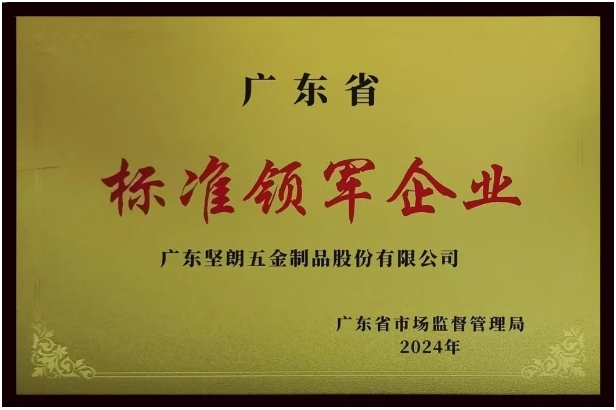 【喜报】91视频福利视频荣获“广东省标准领军企业”